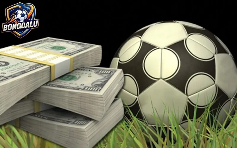 Giới Thiệu Bongdallu